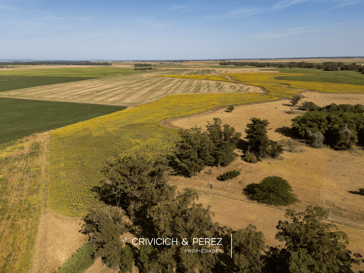 Lote en venta Club de Campo Haras del Mar