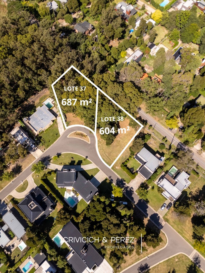 Lote en venta Barrio Cerrado - Las Prunas 