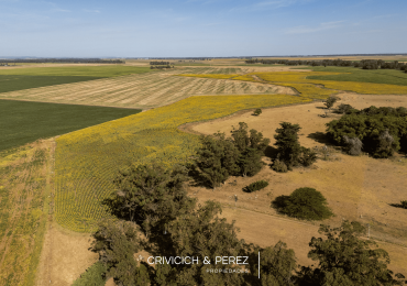 Lote en venta Club de Campo Haras del Mar